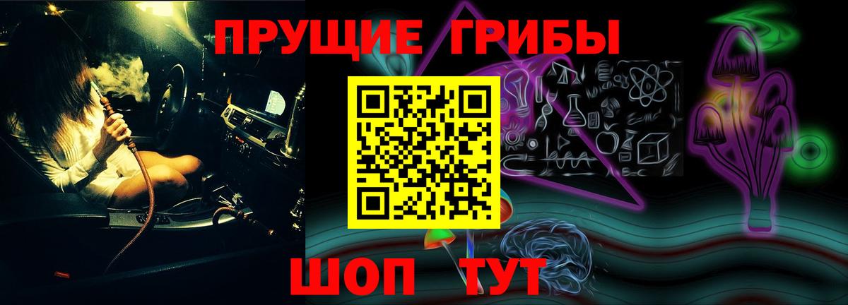 Псилоцибиновые грибы Psilocybe  Вход с VPN  Мытищи 